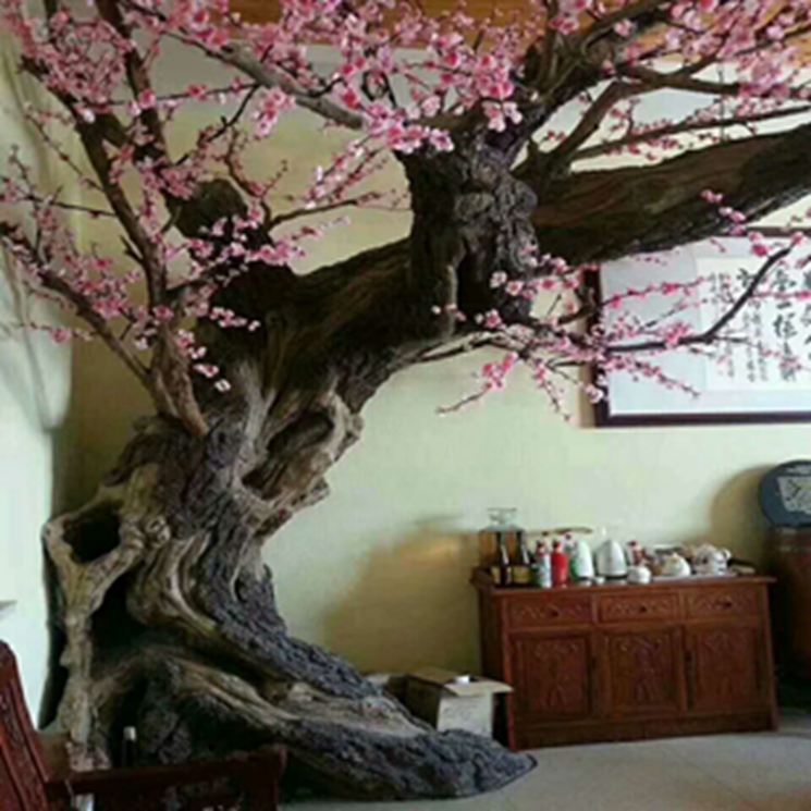 IMG_8039.jpg IMG_8039.jpg